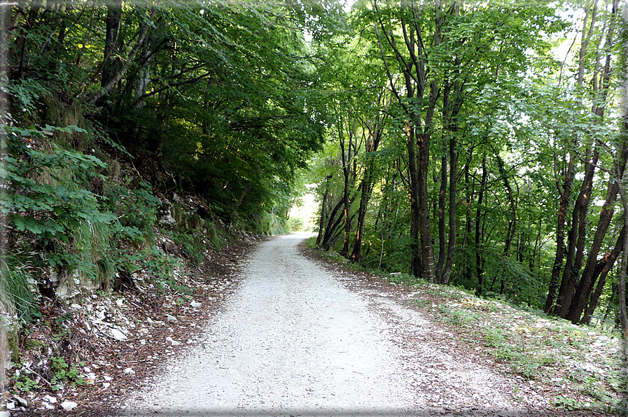 foto Strada delle Penise